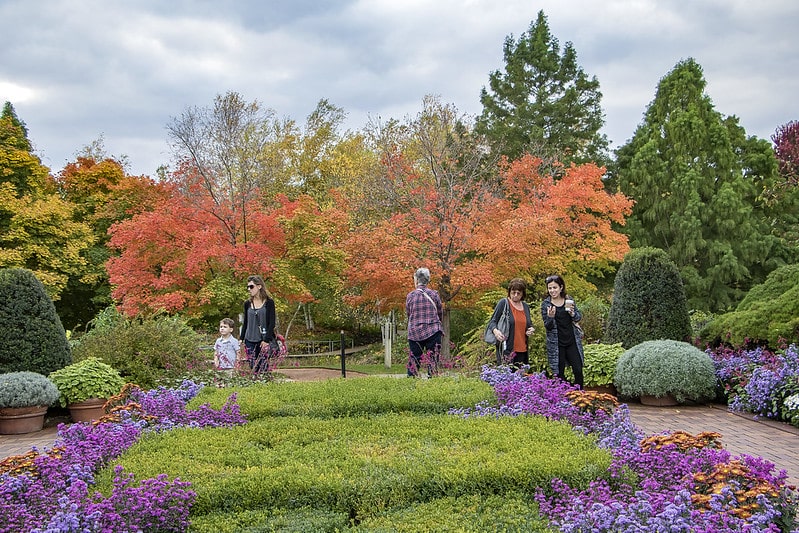 Simpson Garden Park