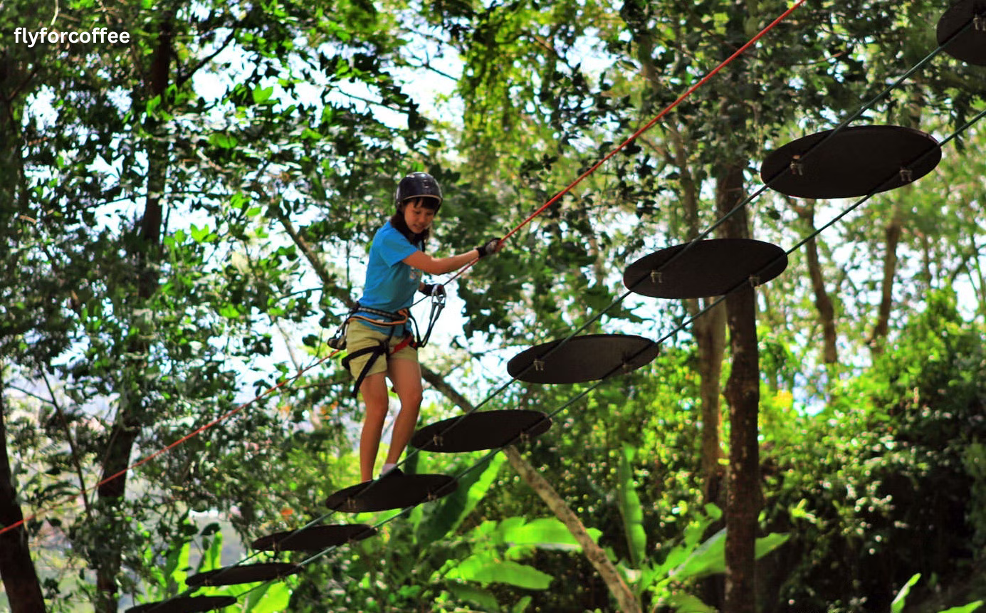 Jungle Xtreme Adventure Park