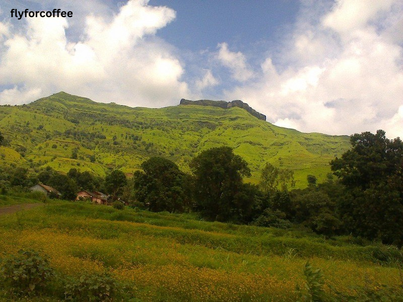 Pandavgad Fort