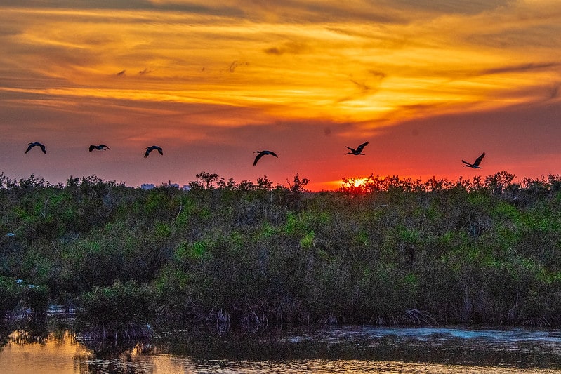 Everglades National Park