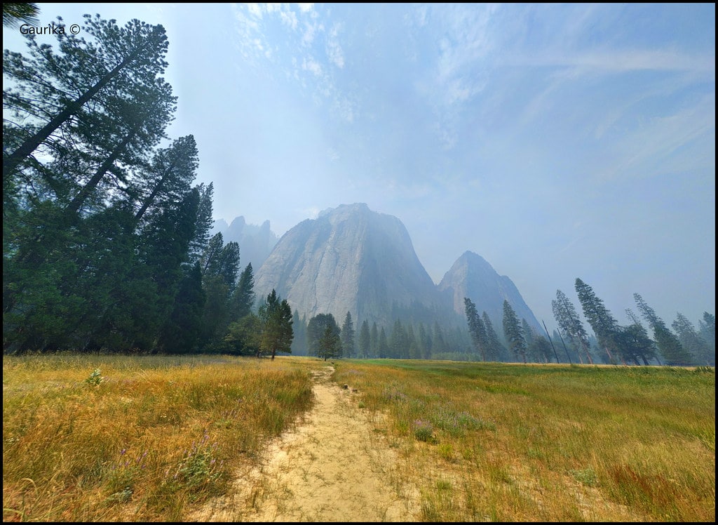 El Capitan Meadow