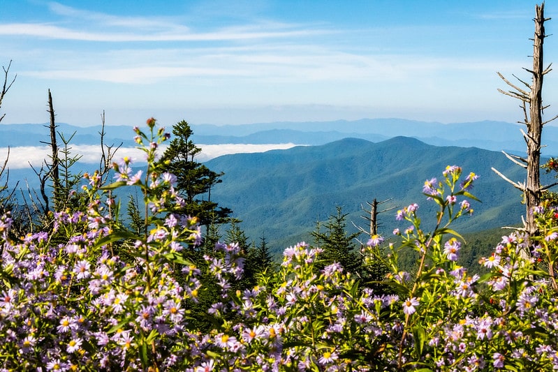 Great Smoky Mountains