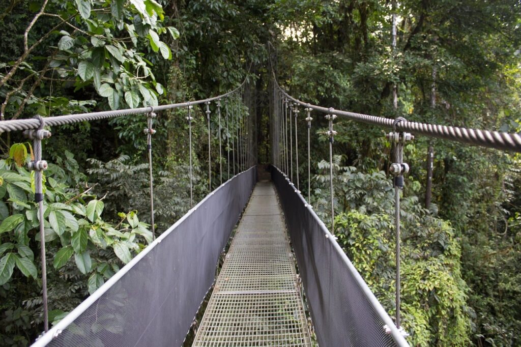 Deep in the Costa Rican rainforest