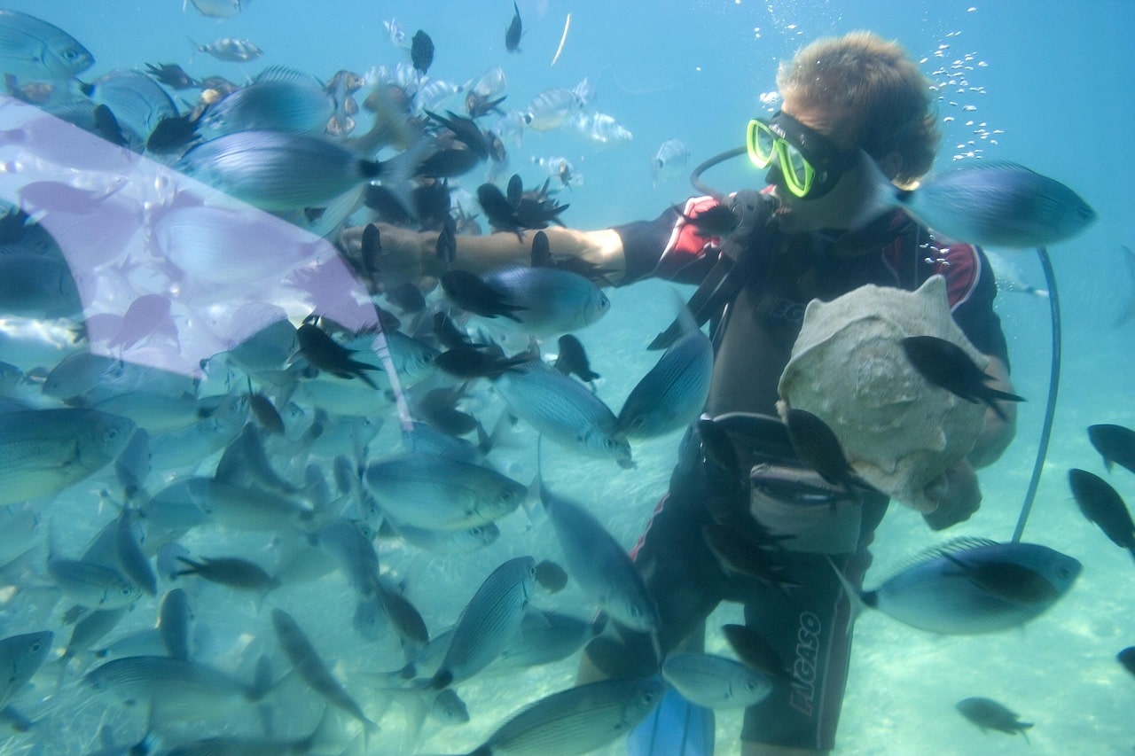 Snorkeling big Island Hilo