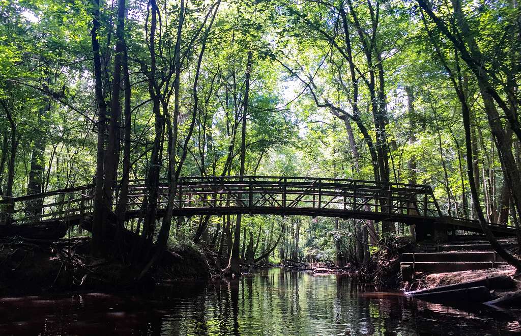 Congaree National Park