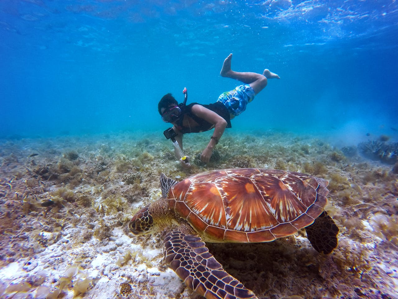 key west snorkeling spots