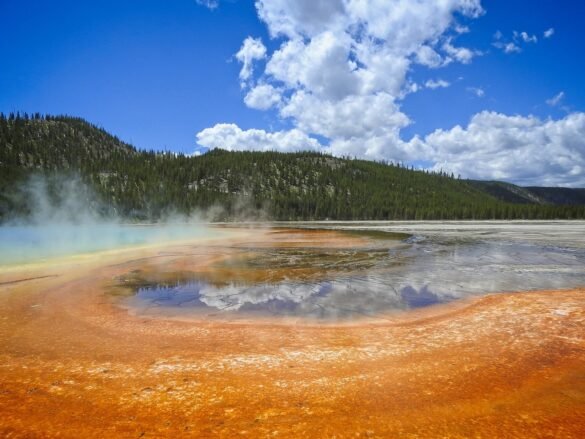 National Park Trips