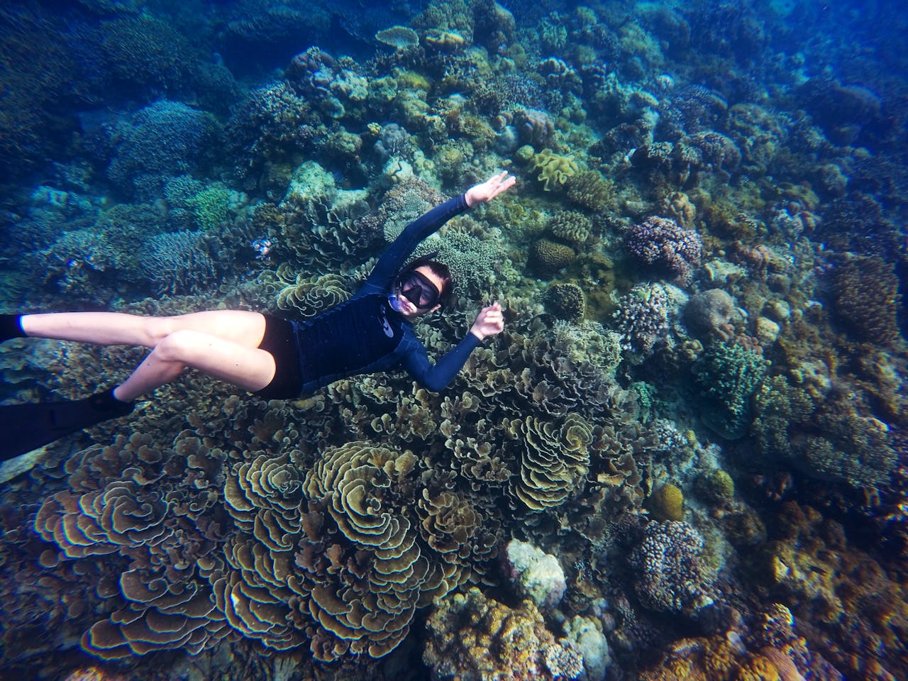 Waikiki snorkeling: reefs meet city views