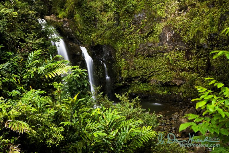 Why Upper Waikani Falls Is a Must-See Hidden Gem in Hawaii? 10 Upper Waikani Falls