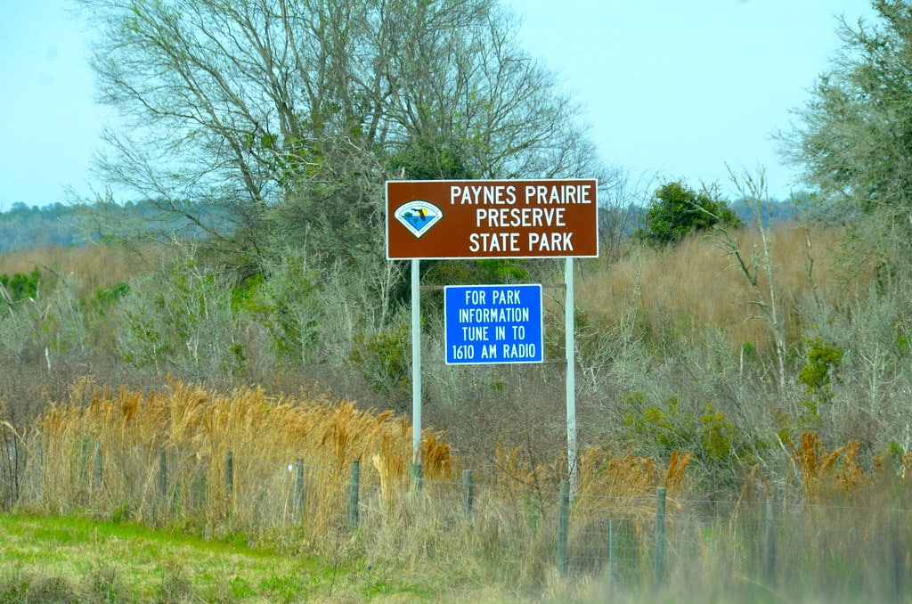 7 Overlooked Hikes to Unearth North Florida’s Wild Side 6 Paynes Prairie Preserve State Park