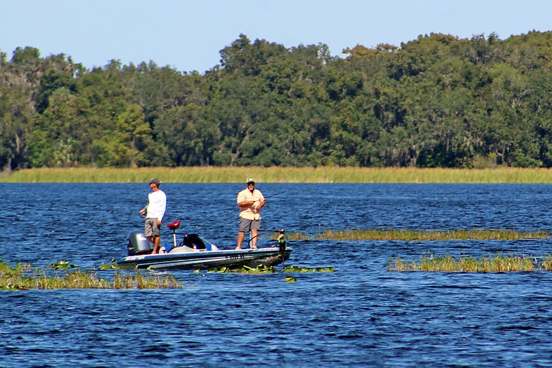 7 Overlooked Hikes to Unearth North Florida’s Wild Side 7 Tsala Apopka Lake