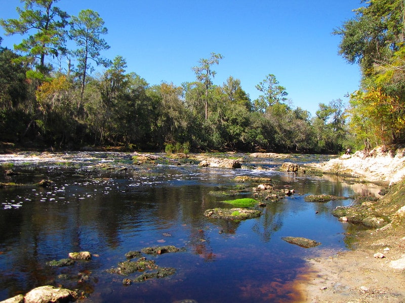 7 Overlooked Hikes to Unearth North Florida’s Wild Side 12 Big Shoals State Park