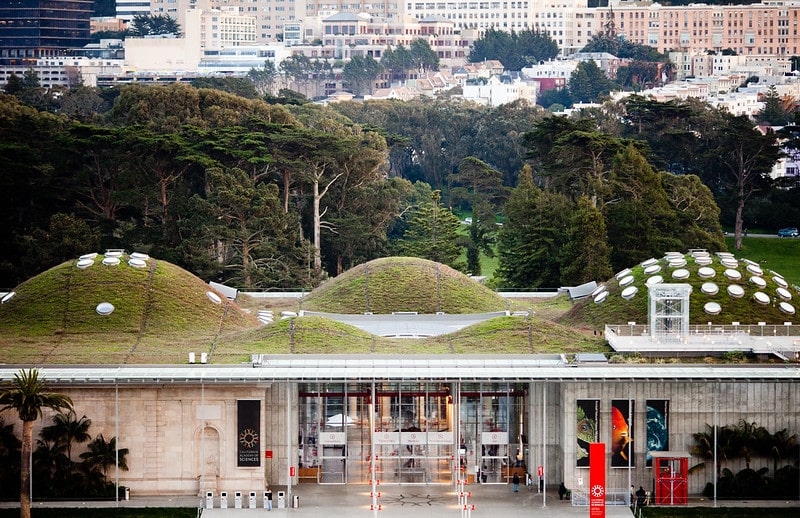 San Francisco Bucket List: Top Things to Do, See, and Eat 13 California Academy of Sciences