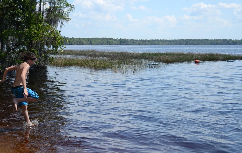 7 Overlooked Hikes to Unearth North Florida’s Wild Side 9 Osceola National Forest