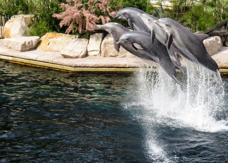 Panama City Beach amusement parks