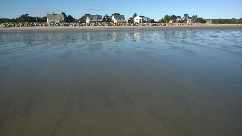 Salt air, sandy toes.