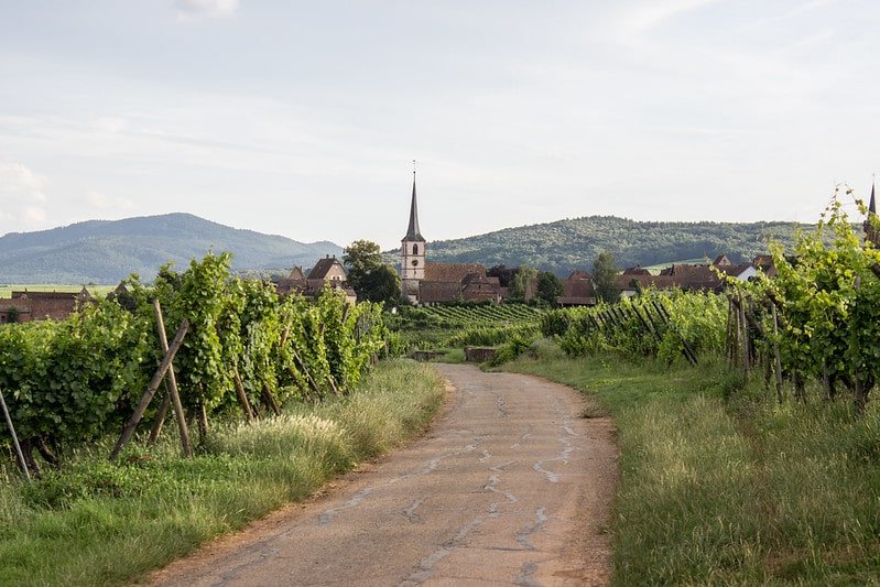 5 Romantic Things To Do In France 8 Alsace Wine Tour
